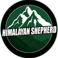 Himalayan Shepherd