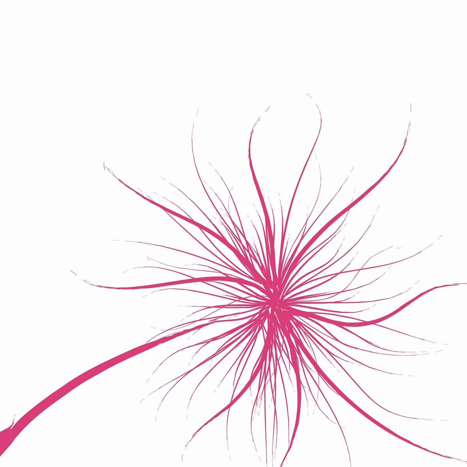 The Windflower Resorts Spa