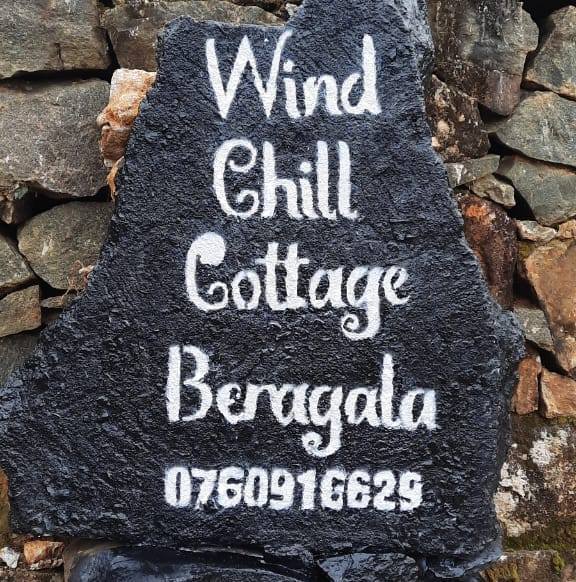 Wind Chill Cottage